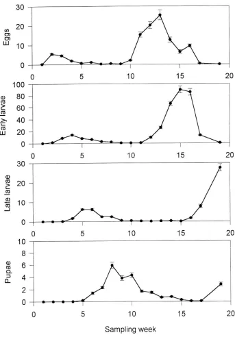 Figure 1. show means consecutive Seasonal abundance of B. ainsliella eggs, early larvae, late larvae and pupae in sampling weeks in North Burnaby in 1997
