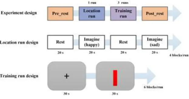Figure 1. Experimental procedures. 