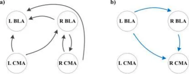 Figure 3. Effects of the NF training on the information flow among amygdala subregions