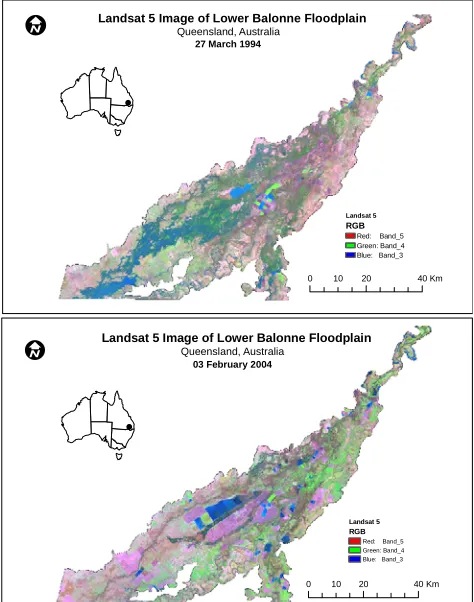 Figure 1. Landsat 5 image of the study area for 1994 and 2004. The bluish features correspond to flooded areas