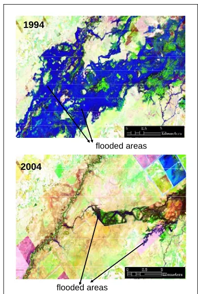 Table 3. Landscape metrics (total floodplain) of the 