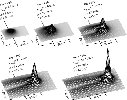 Figure 5: Evolution and collapse of a 2D Gaussian initial perturbation as described byEq