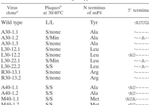 TABLE 1. Revertant virus clones and their plaque phenotypesand genotypes