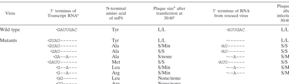 TABLE 2. Effect of adding or modifying nucleotides at the 5� terminus of the genomic RNA on SINV mutants with altered amino acids atthe N terminus of nsP4