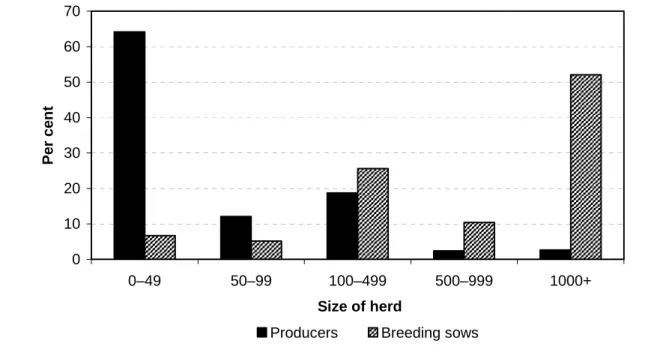 Figure 2.3  Distribution of pig producers and breeding sows, by herd size,  Australia, June 2003  010203040506070 0–49 50–99 100–499 500–999 1000+ Size of herdPer cent