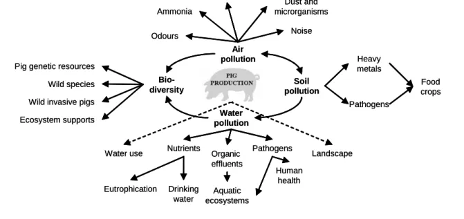 Figure 2.6  Pig production and the environment 
