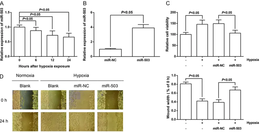 Figure 2. MiR-503 overexpression attenuates hPASMC proliferation and migration induced by hypoxia