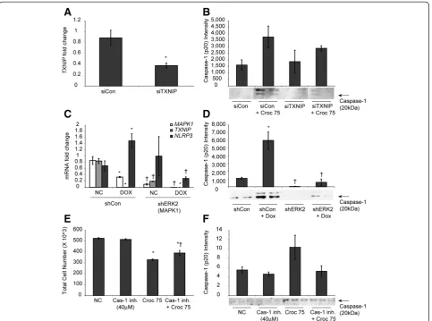 Figure 6 Knockdown of TXNIP decreases inflammasome activation. (A) LP9/hTERT cells (90% confluent) were transiently transfected withsiTXNIP or siControl siRNA for 48 h and knockdown of TXNIP expression was assessed by qRT-PCR