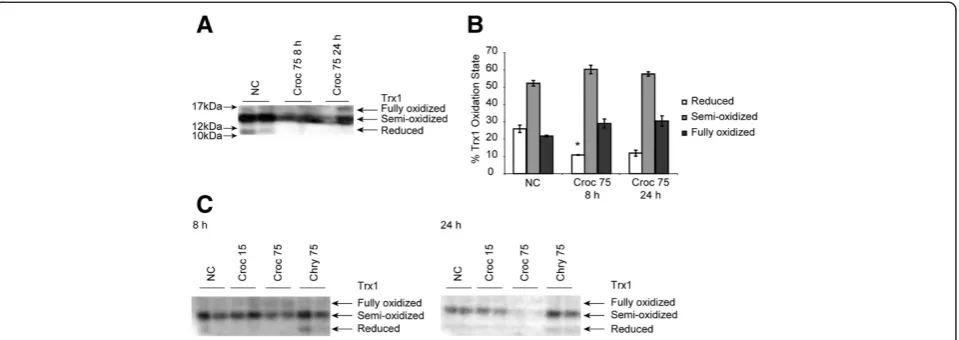 Figure 2 Crocidolite asbestos exposure causes oxidation of Trx1 in human mesothelial cells