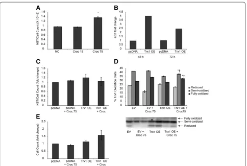 Figure 4 Over-expression of Trx1 increases cell survival and ameliorates asbestos-induced ROS generation in LP9 cells