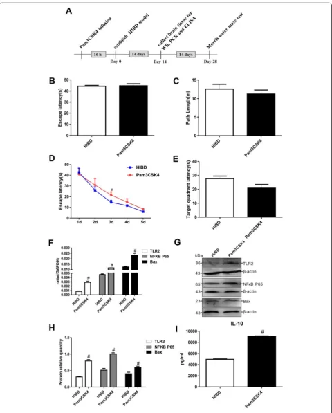 Fig. 2 (See legend on next page.)