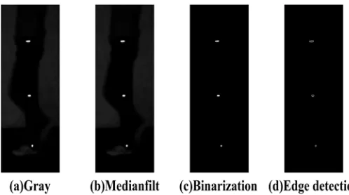 Figure 2. Results of the image processing. 