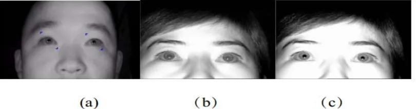 Figure 2. Bright pupil, dark pupil image in 850nm infrared light. 