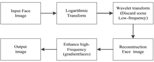 Figure 1. Face illumination process flow diagram. 
