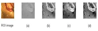Figure 6. The gray image.   