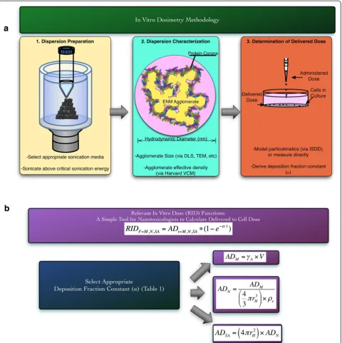 Figure 1 Schematic Map for proposed integrated In Vitro Dosimetry Methodology. a, Proper dispersion preparation requires selection ofappropriate sonication media (such as DI H2O for metal oxide ENMs), and sonication above the critical sonication energy req