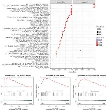 Figure 1. Significantly differentially expressed pathways identified by GSEA analyses based on GO gene sets