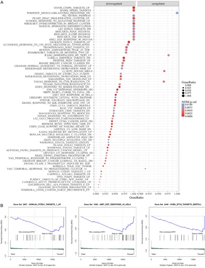 Figure 2. Significantly differentially expressed pathways identified by GSEA analyses based on curated gene sets