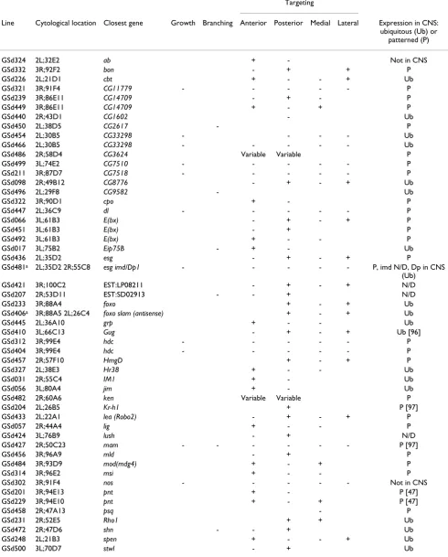 Table 2: Summary of phenotypes observed in RP2 neurons