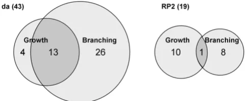 Table 2: Summary of phenotypes observed in RP2 neurons (Continued)