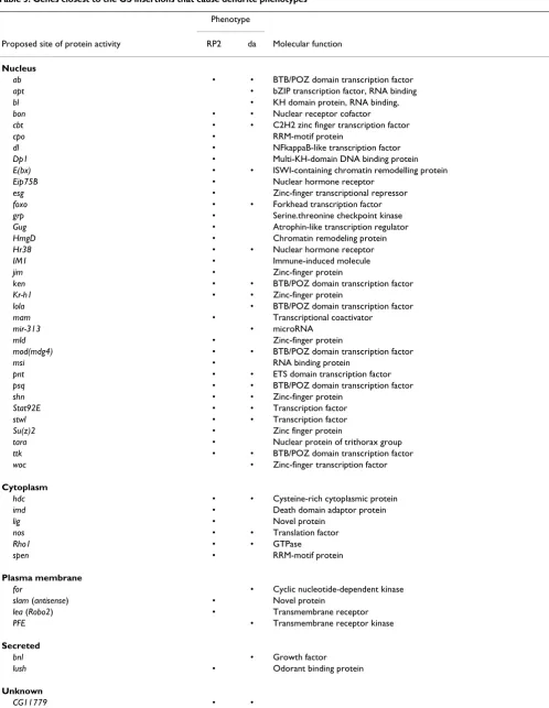 Table 3: Genes closest to the GS insertions that cause dendrite phenotypes