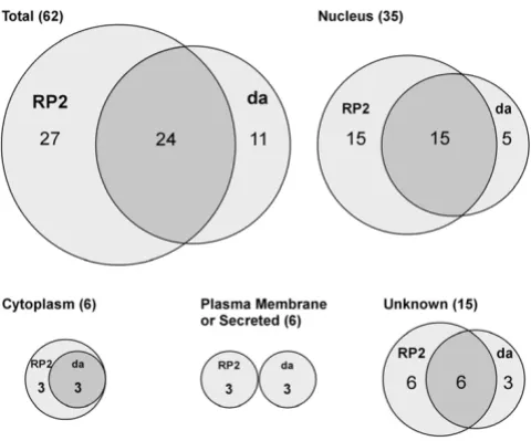 Table 3: Genes closest to the GS insertions that cause dendrite phenotypes (Continued)