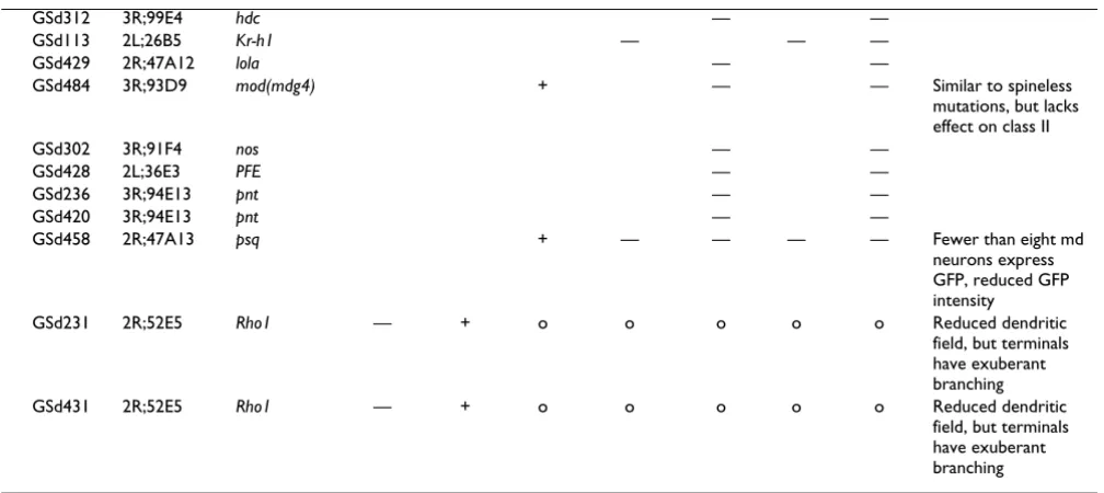 Table 1: Dendrite morphology phenotypes observed in da neurons (Continued)