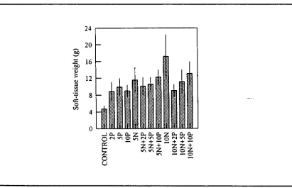 Fig. 3.2. Mean C:N and C:P atomic ratios (± SE) in soft tissues of Tridacna gigas supplemented 