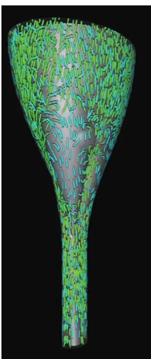 Fig 5.6 cm/s in the caudal direction are displayed in blue andnormal.mpg), greater velocities are found in the craniovertebral junction and greaterin the cephalad direction in red
