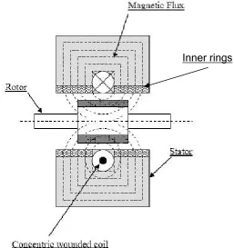 Figure 2.7 represents the steady magnetic field generated by the concentric coil 