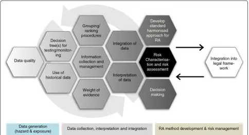 Figure 6 An overview of the risk assessment of NMs in the context of the ITS-NANO research strategy