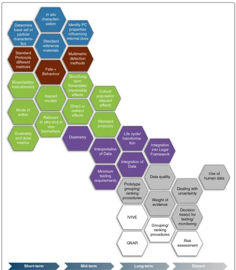 Figure 5 The diagram identifies the components required for the development of a grouping/ranking approach for NMs