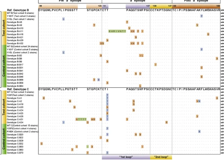 Fig. 1. Amino acid variability of MHR (aa99–169) in group I and group II. The reference amino acid sequences of genotypes B and C were deduced from the following GenBank sequences: genotype B: AB073826; Genotype C: AF286594.