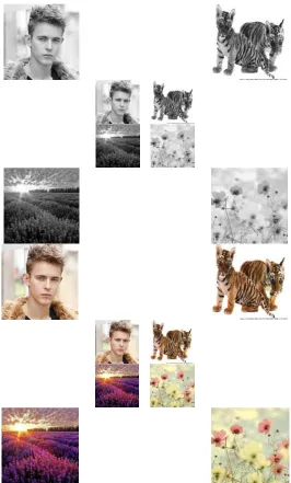 Figure 2. Different Kinds of Pictures by the Experiment. 