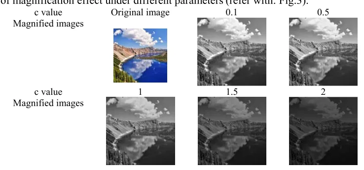 Figure 3. Different magnified images under different parameters. 
