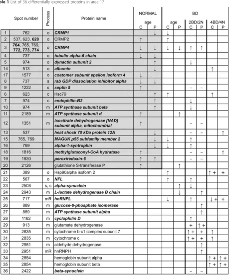 Table 1 List of 36 differentially expressed proteins in area 17