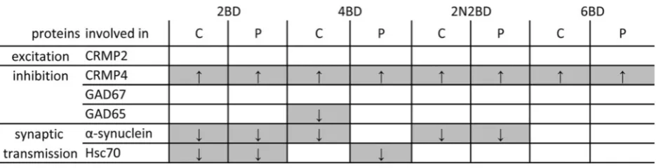 Table 2 Results summary