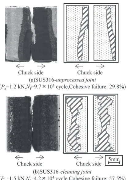 Fig. 10Fatigue fracture morphologies for SUS316 joints.
