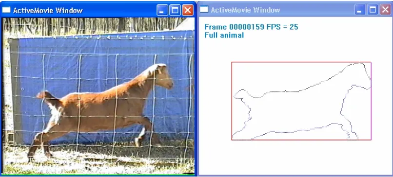Fig 1.  Goat and boundary 
