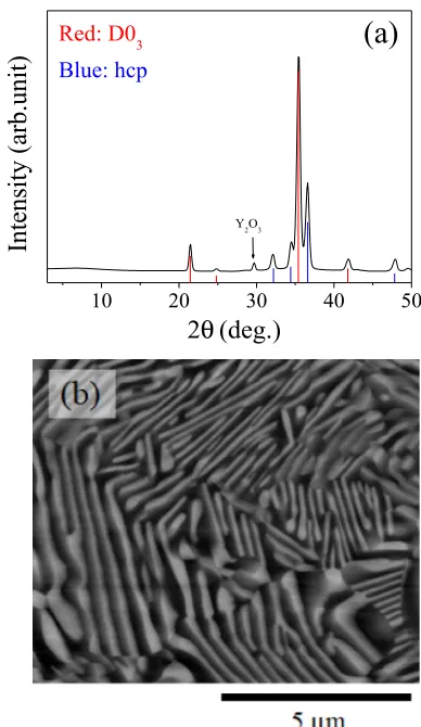 Table 1The model structure of D03: Fm3m�, a = 0.718 nm. Atomiccoordinates and unit cell dimensions were estimated from the XRDproﬁle.