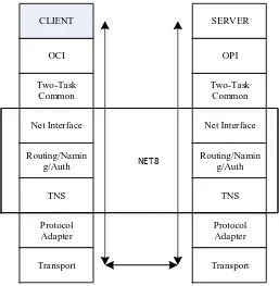 Figure 1. TNS protocol hierarchy 