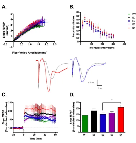 Figure 1ApoE4 TR animals show increased LTP induction without changes in synaptic transmissionApoE4 TR animals show increased LTP induction without changes in synaptic transmission