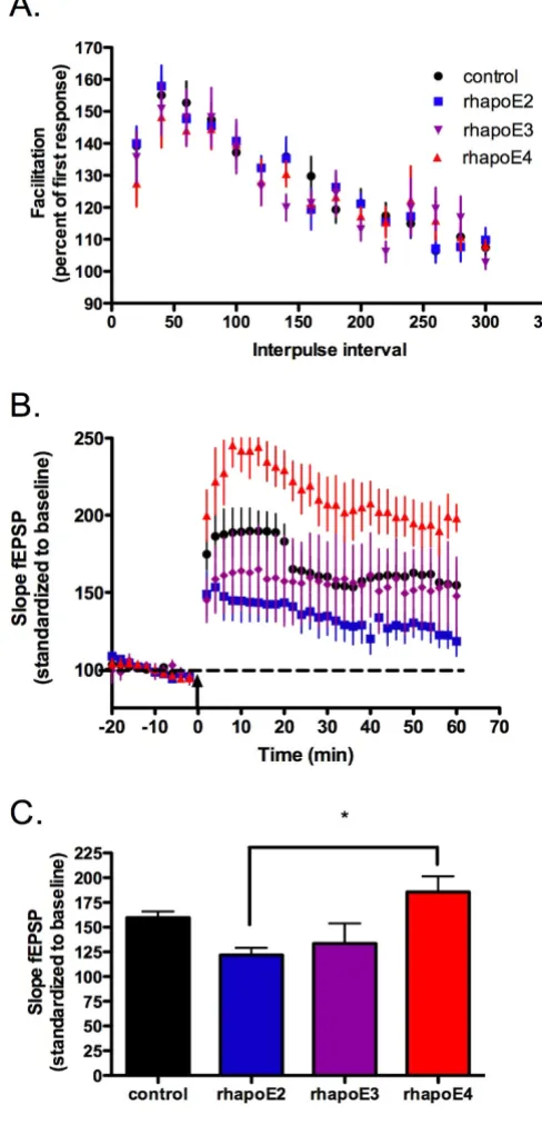 Figure 2Acute recombinant apoE isoform application recapitulates alterations in LTP inductionAcute recombinant apoE isoform application recapitulates alterations in LTP induction