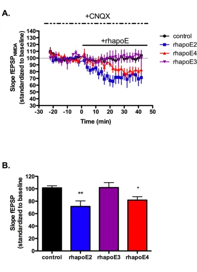 Figure 4ApoE isoforms alter NMDA receptor-dependent field potentialsApoE isoforms alter NMDA receptor-dependent field potentials