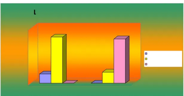 Figure 4.b SECTION III