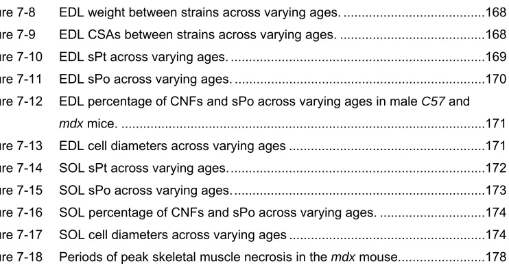 Figure 7-8 EDL weight between strains across varying ages. ......................................