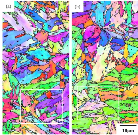 Fig. 5IPF maps of Mod.9Cr­1Mo steel. (a) pre-strained at 10%, (b)tempered at 700°C © 6 h.
