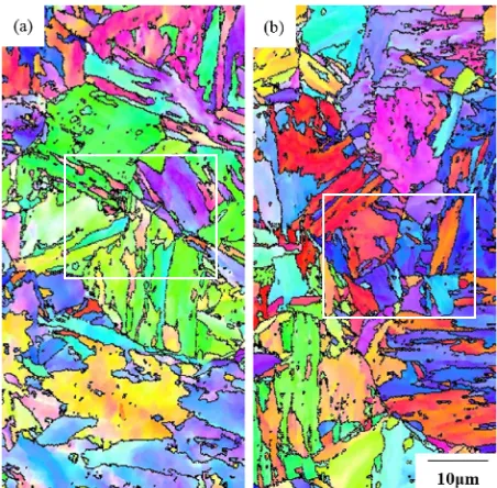 Fig. 6Backscattered electron images of Mod.9Cr­1Mo steel. (a), (c) pre-strained at 10%, (b), (d) tempered at 700°C © 6 h.