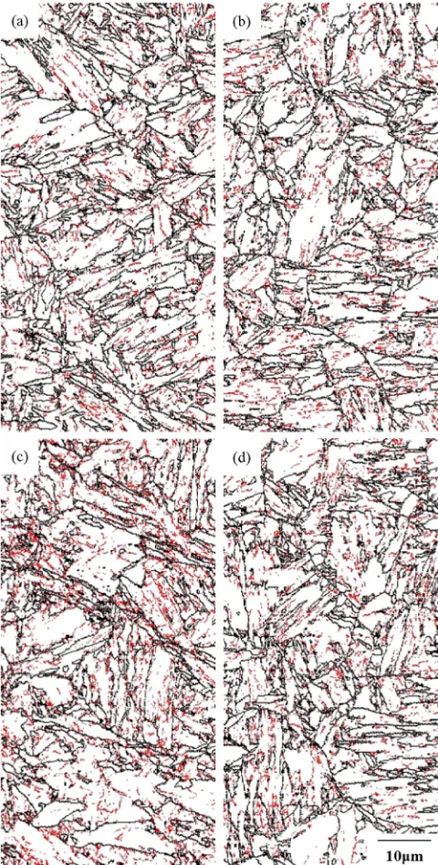 Fig. 111­5° boundary maps of Mod.9Cr­1Mo steel. (a) pre-strained at10%, (b) tempered at 700°C © 6 h, (c) pre-strained at 20%, (d) temperedat 700°C © 0.25 h.