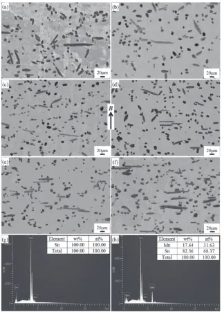 Fig. 1Longitudinal microstructures of the Sn­1.5 wt% Mn specimens with the application of (a) 0 T, (b) 1 T, (c) 3 T, (d) 5 T, (e) 8.8 T and(f ) 12 T HMFs, respectively; EDS spectrums corresponding to the (g) ¢-Sn matrix and (h) primary MnSn2 phase, respect